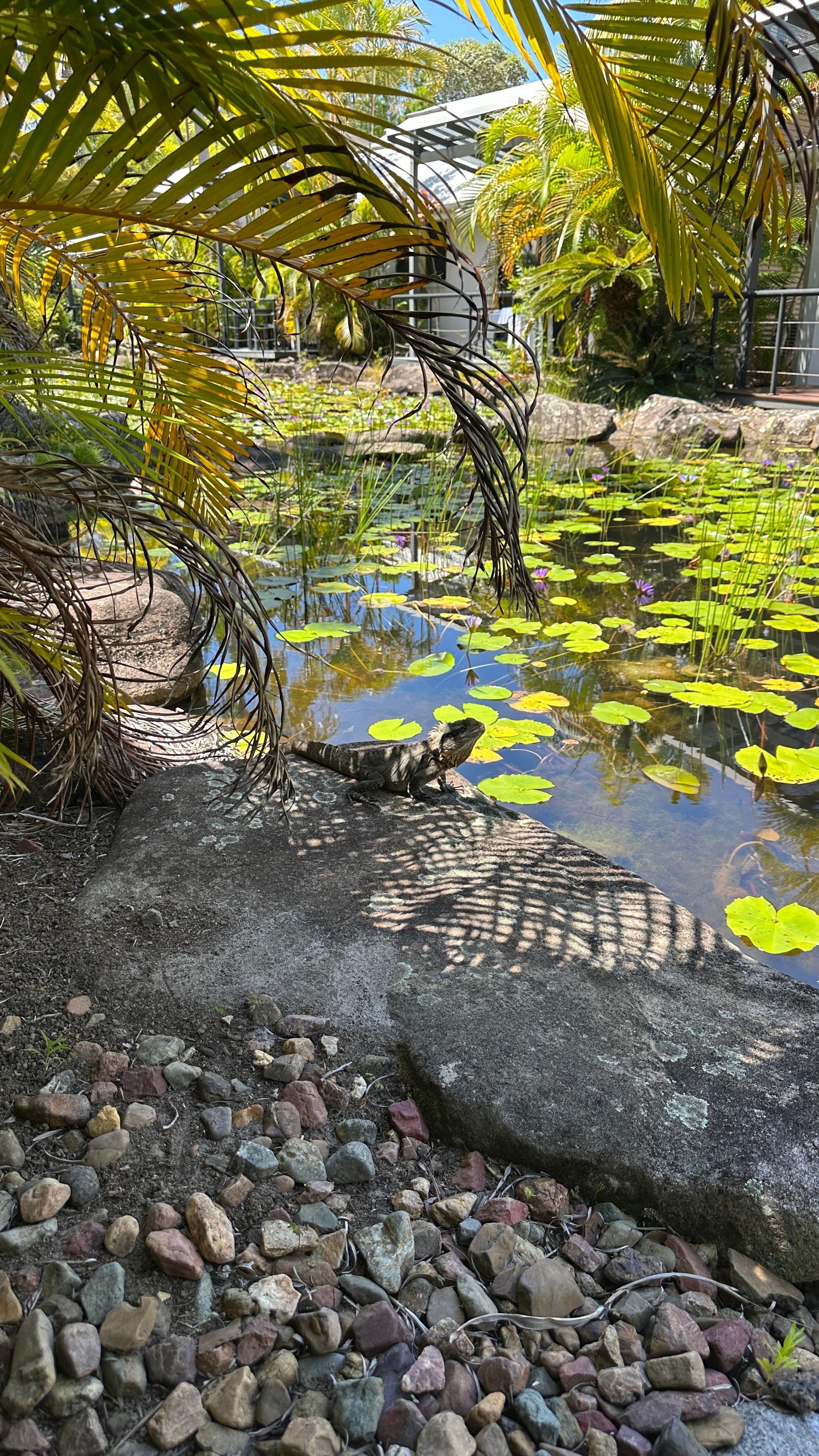 Beautiful outlook from the back porch.