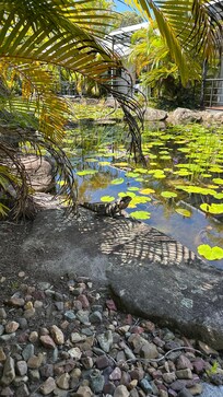Beautiful outlook from the back porch.