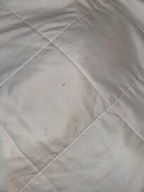 my sheets