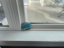 My painted rock I left