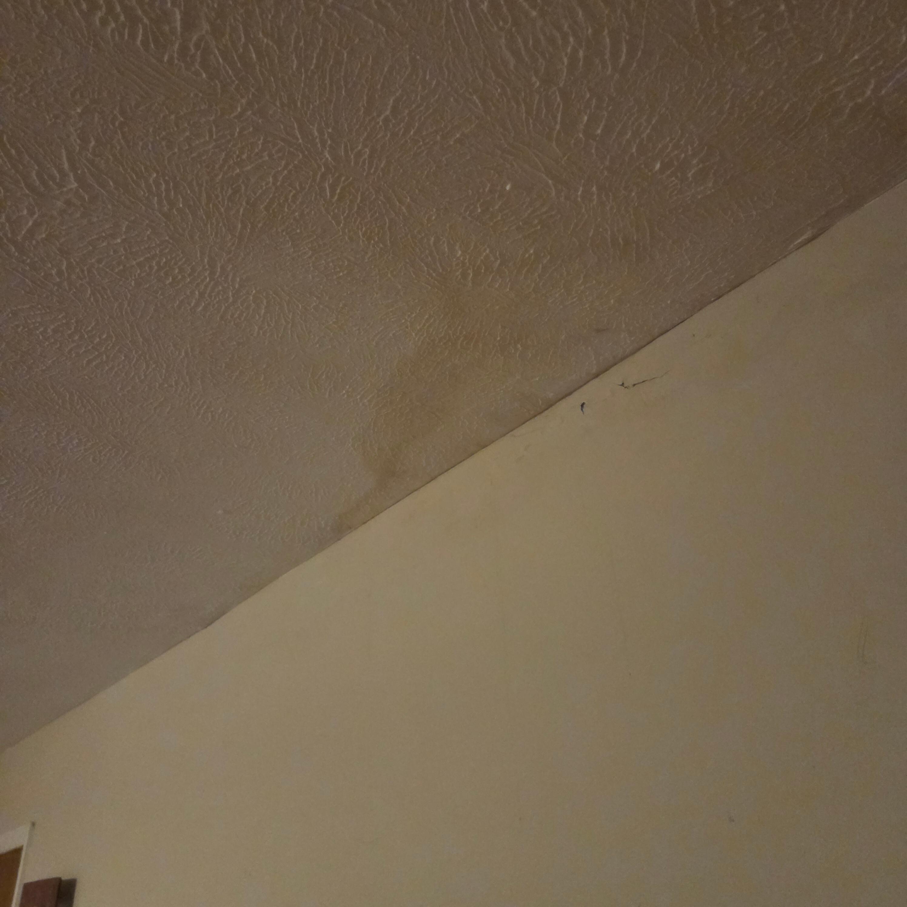 In living area.  Water stain