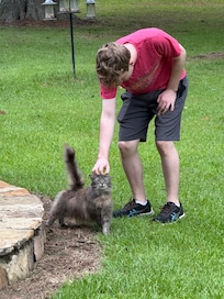 Chico the cat.
