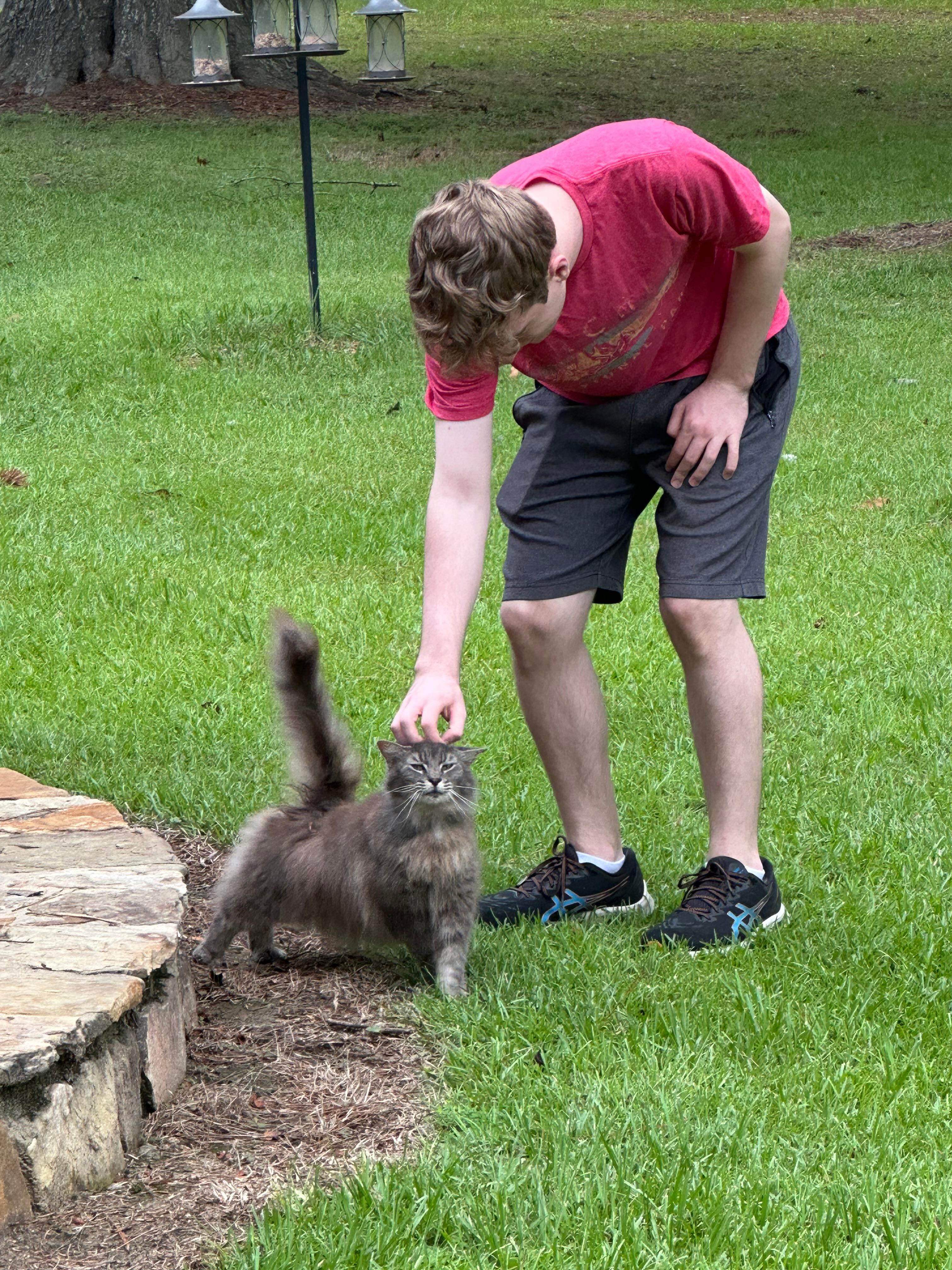 Chico the cat. 
