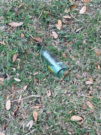 Glass bottles from a previous party were strewn across the yard.