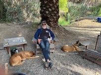 Kizzy and one of the other 3 dogs