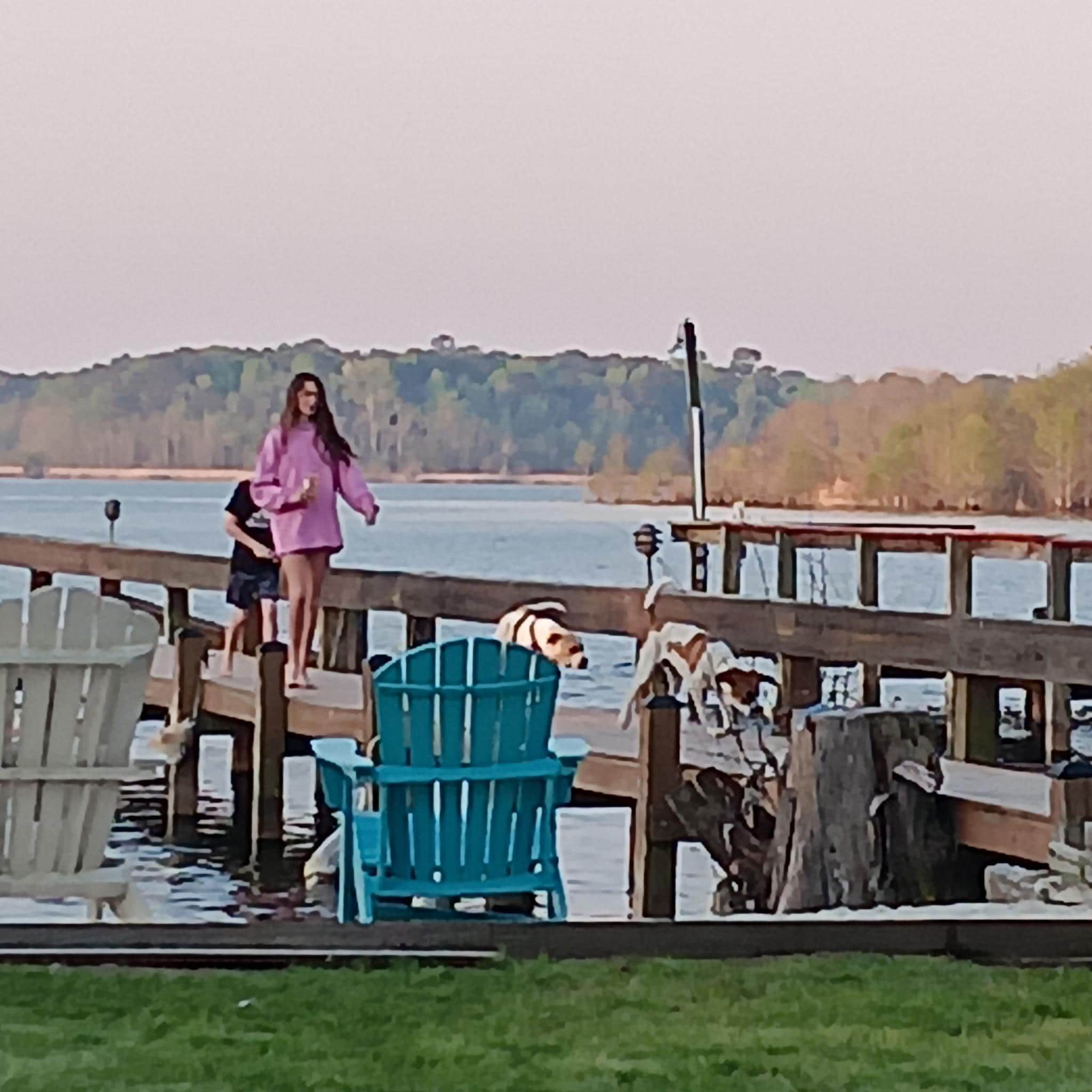 Even dogs enjoyed pier as well!