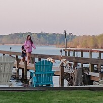 Even dogs enjoyed pier as well!