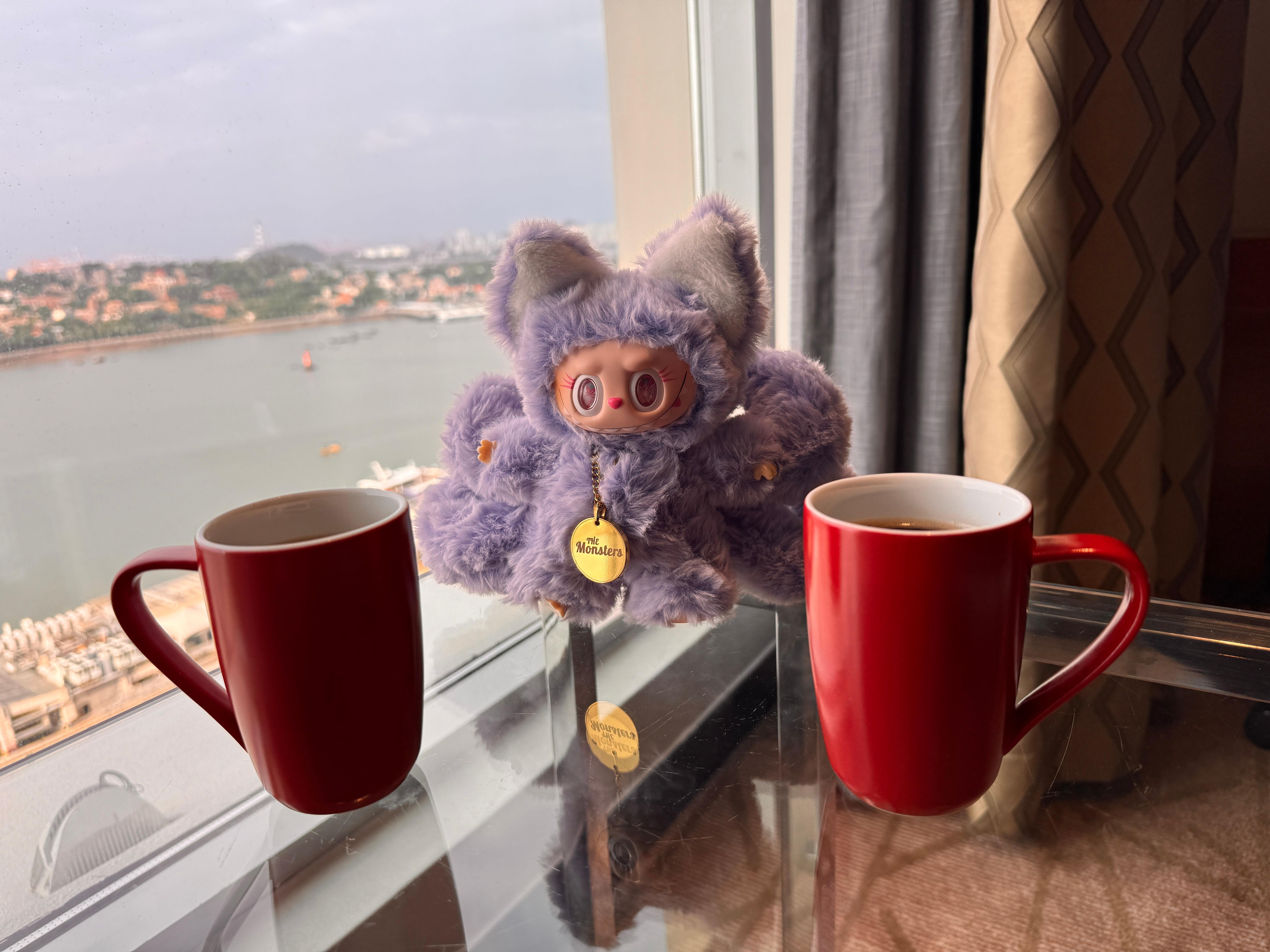 飯店房間窗外的鼓浪嶼風景