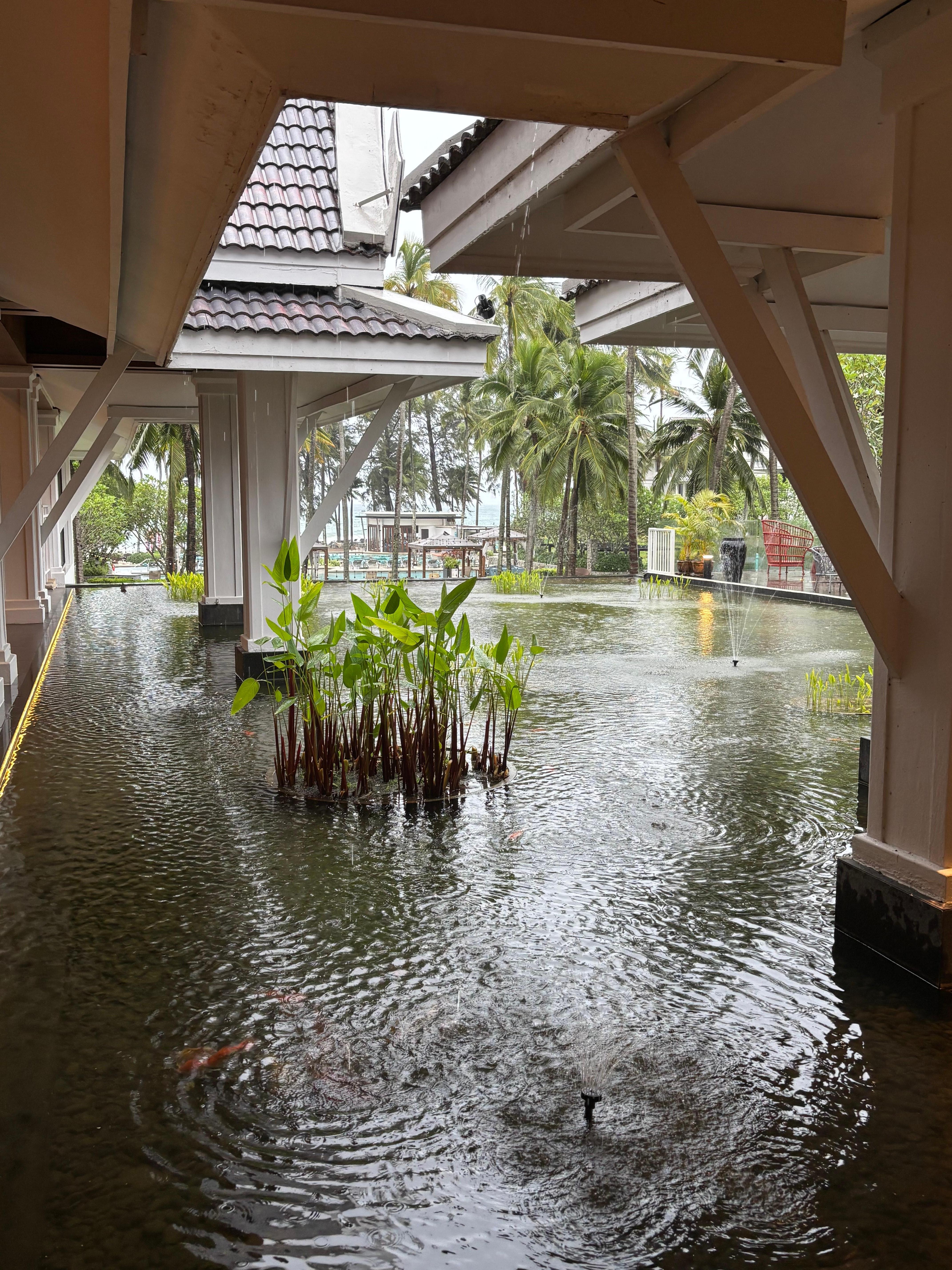 Nice ambience 