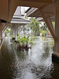 Nice ambience