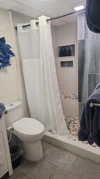 bathroom, toilet has a bidet and shower had a seat if needed
