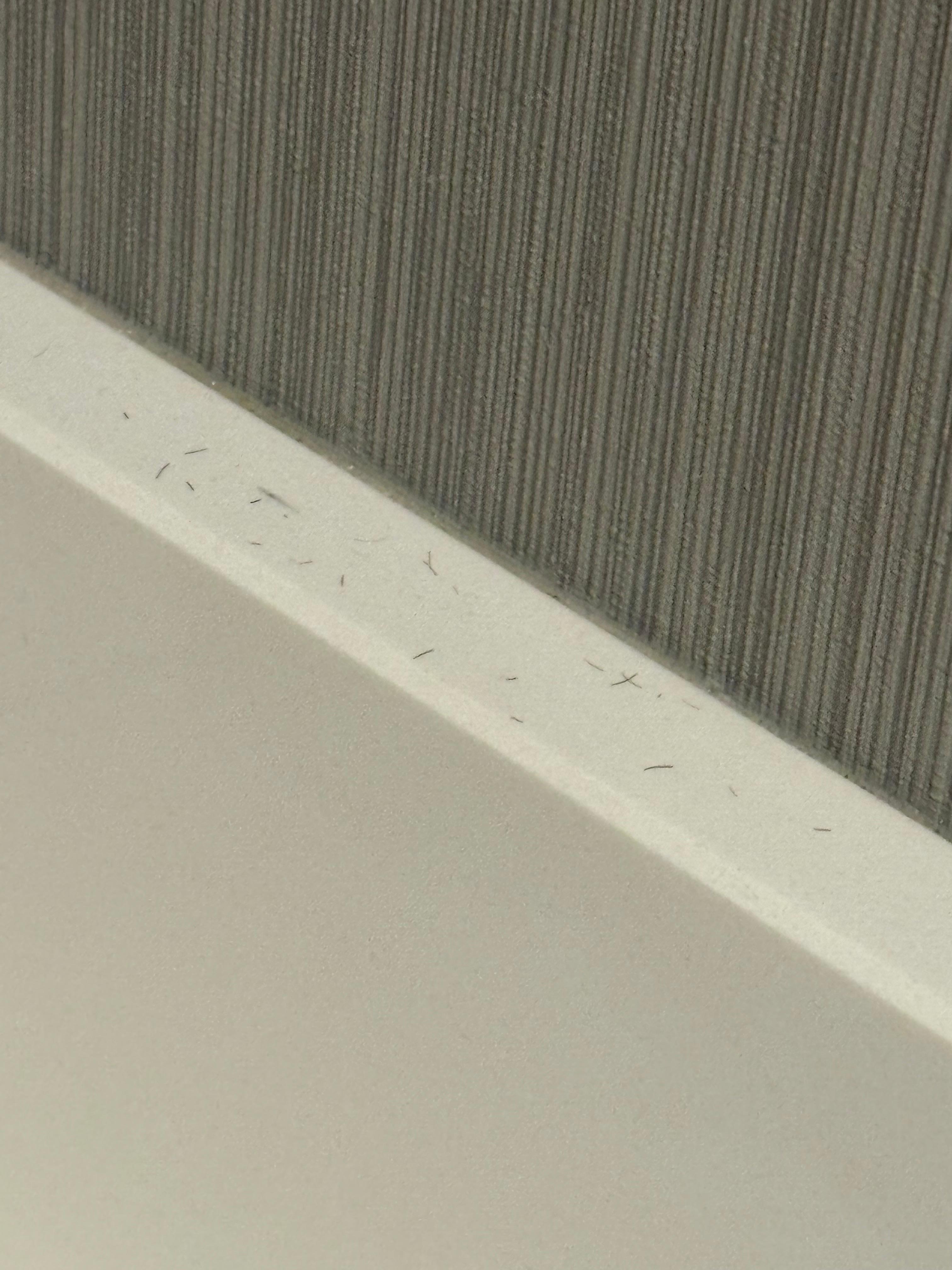 Someone else’s hairs everywhere. 