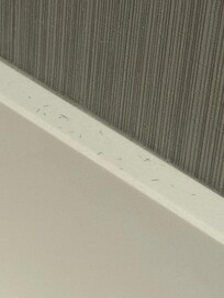Someone else’s hairs everywhere.