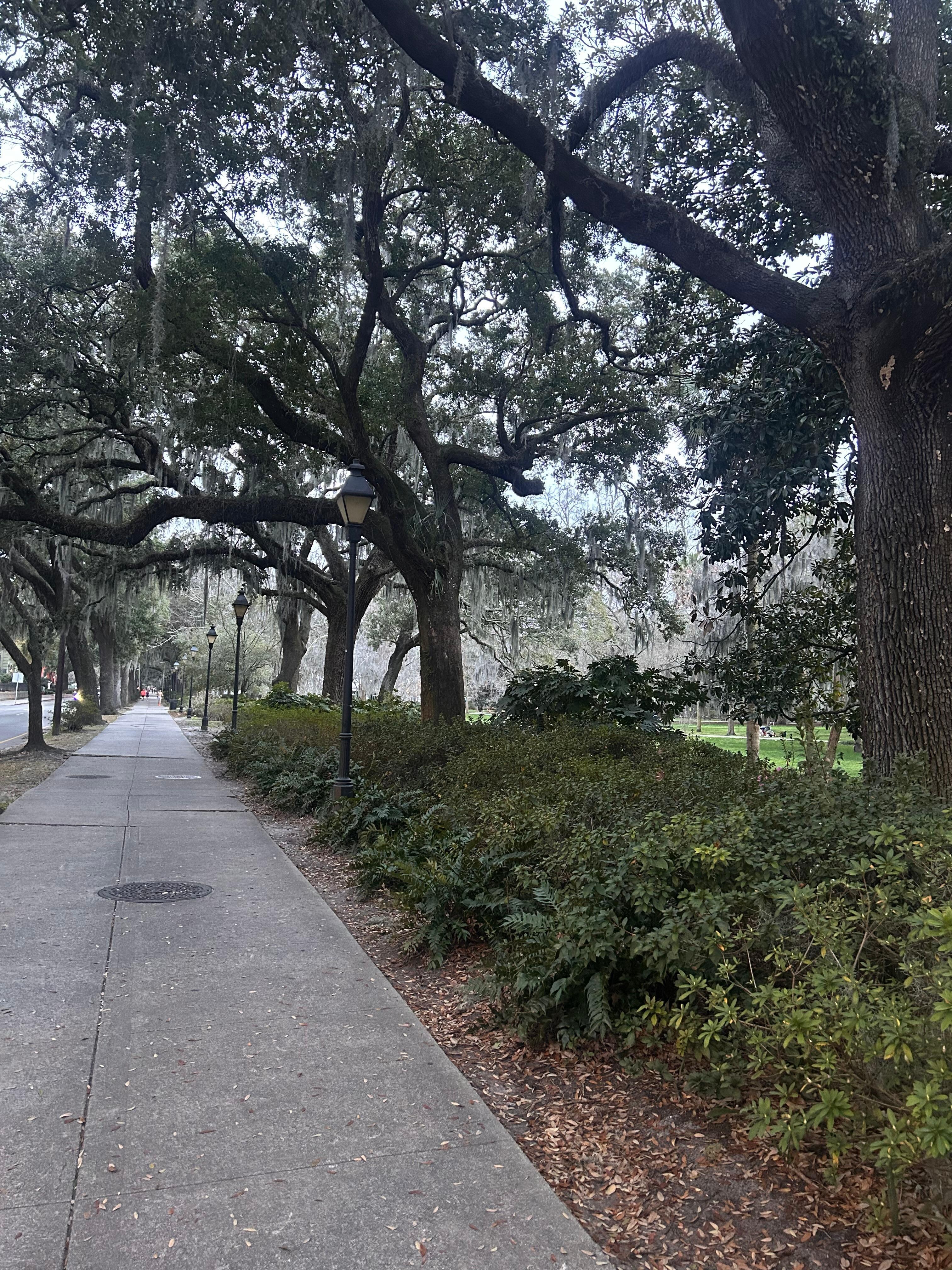 Beautiful walk through Forsyth Park.  An easy walk from the rental. 