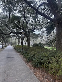 Beautiful walk through Forsyth Park. An easy walk from the rental.