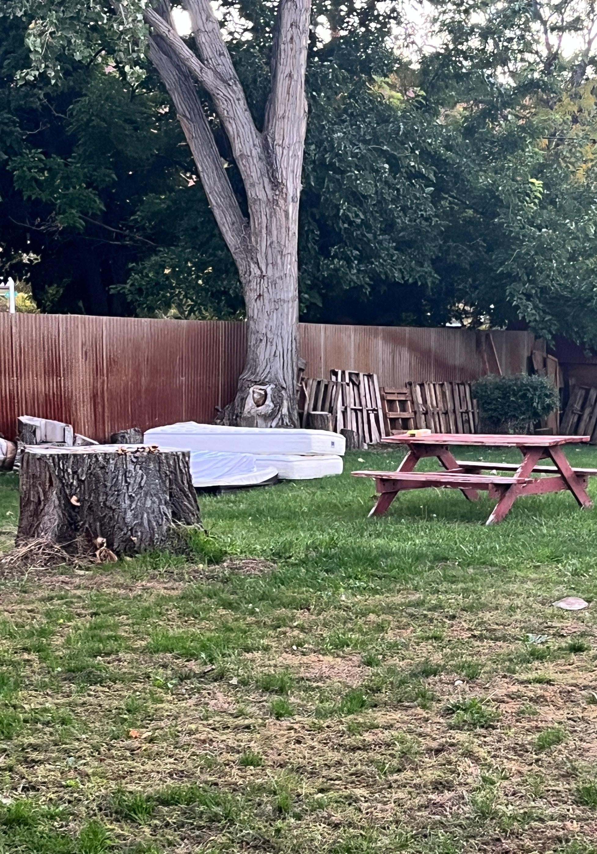 Old mattresses in dog/picnic area 