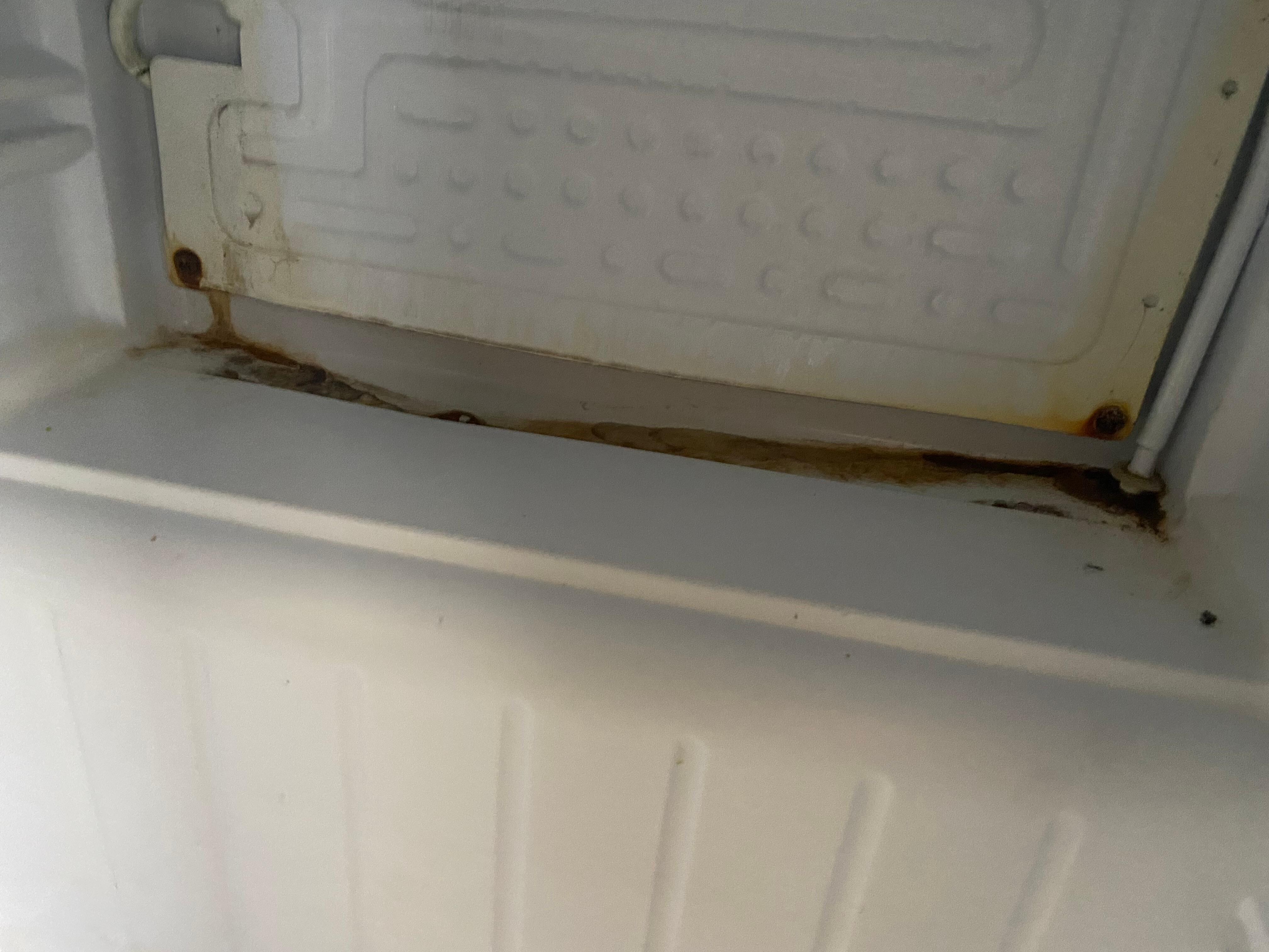 Refrigerator freezer was molded 