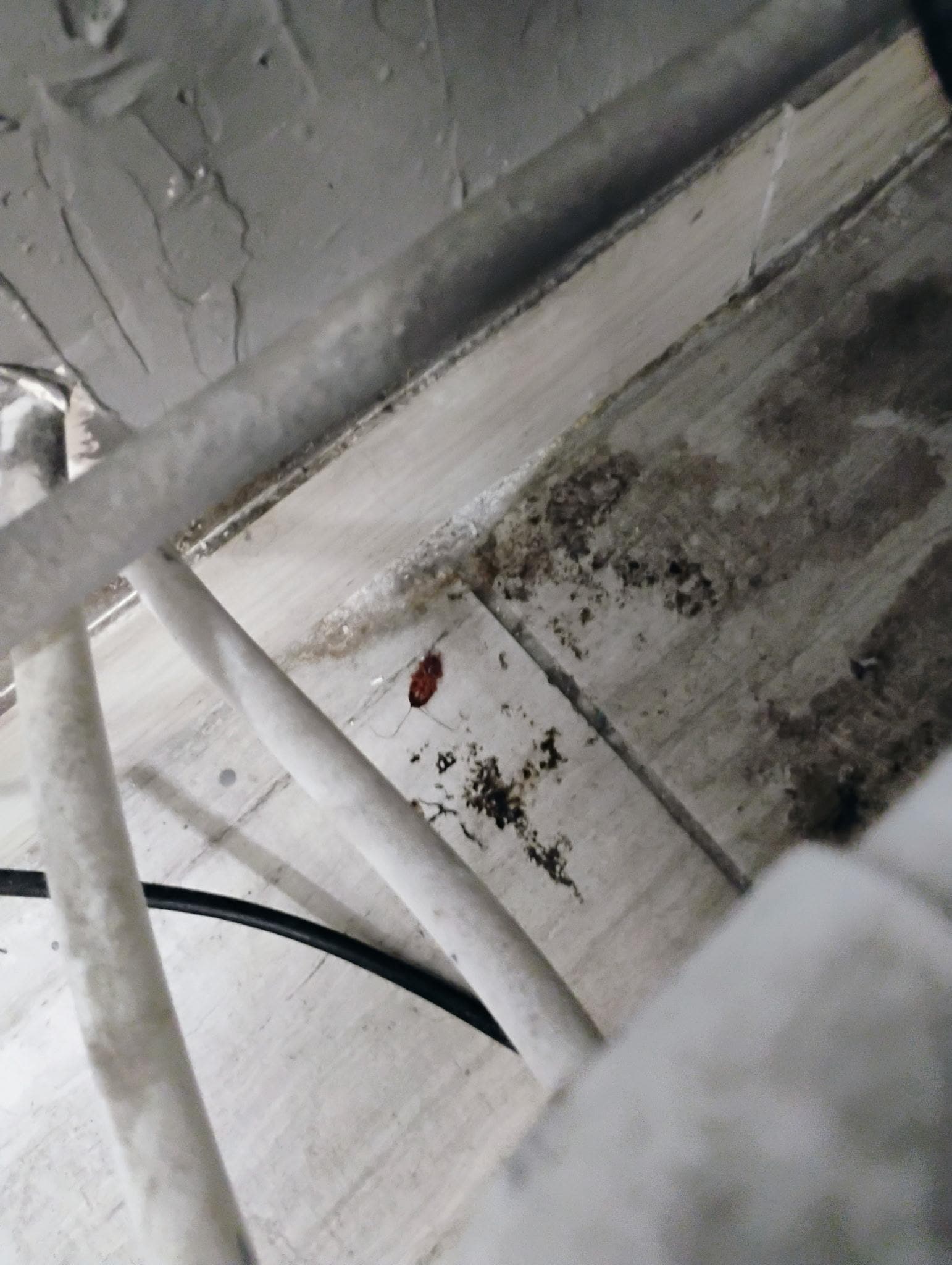 Near the ice machine 