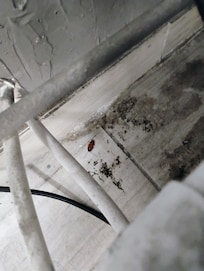 Near the ice machine