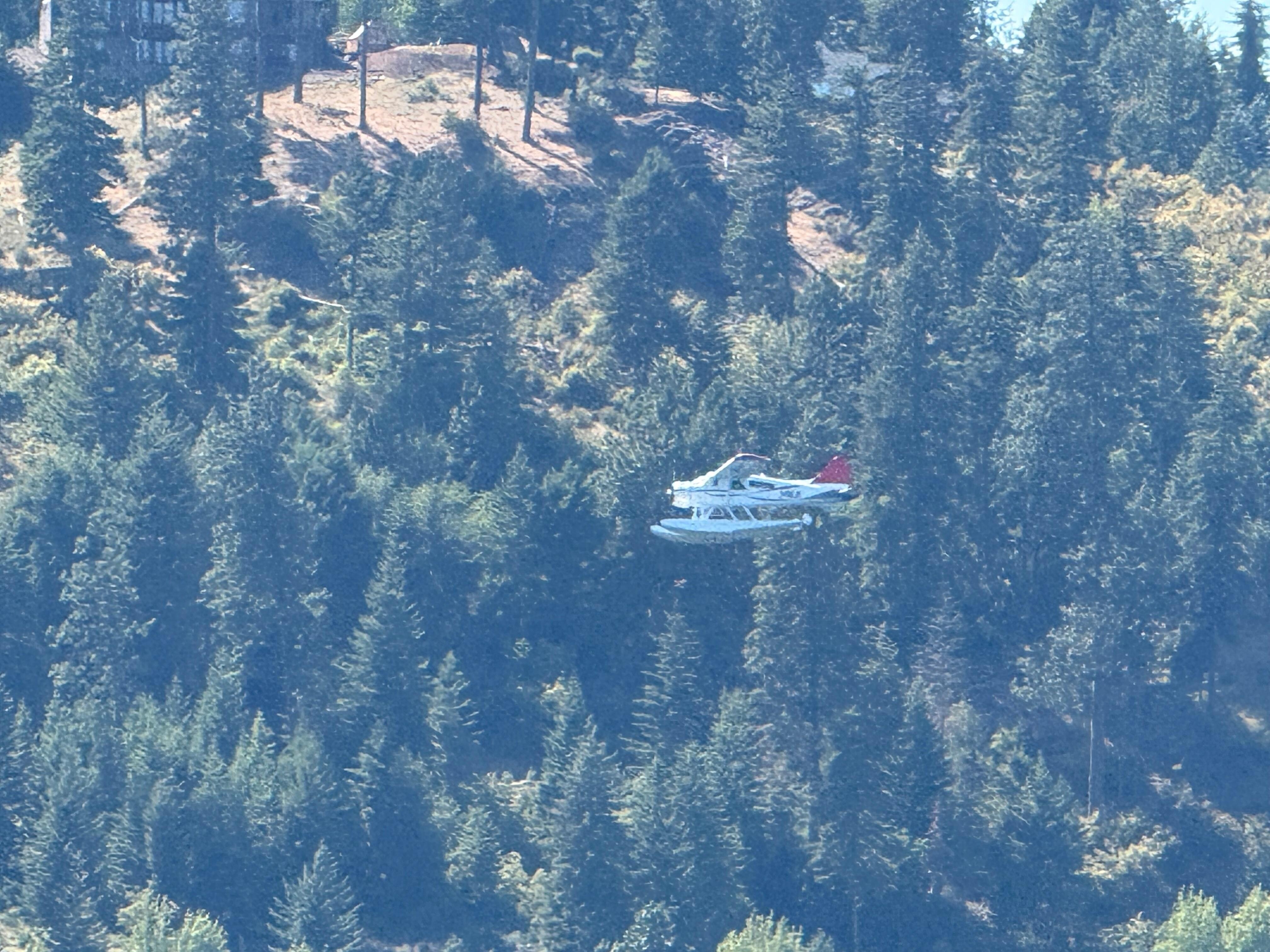 Daily float plane sightings