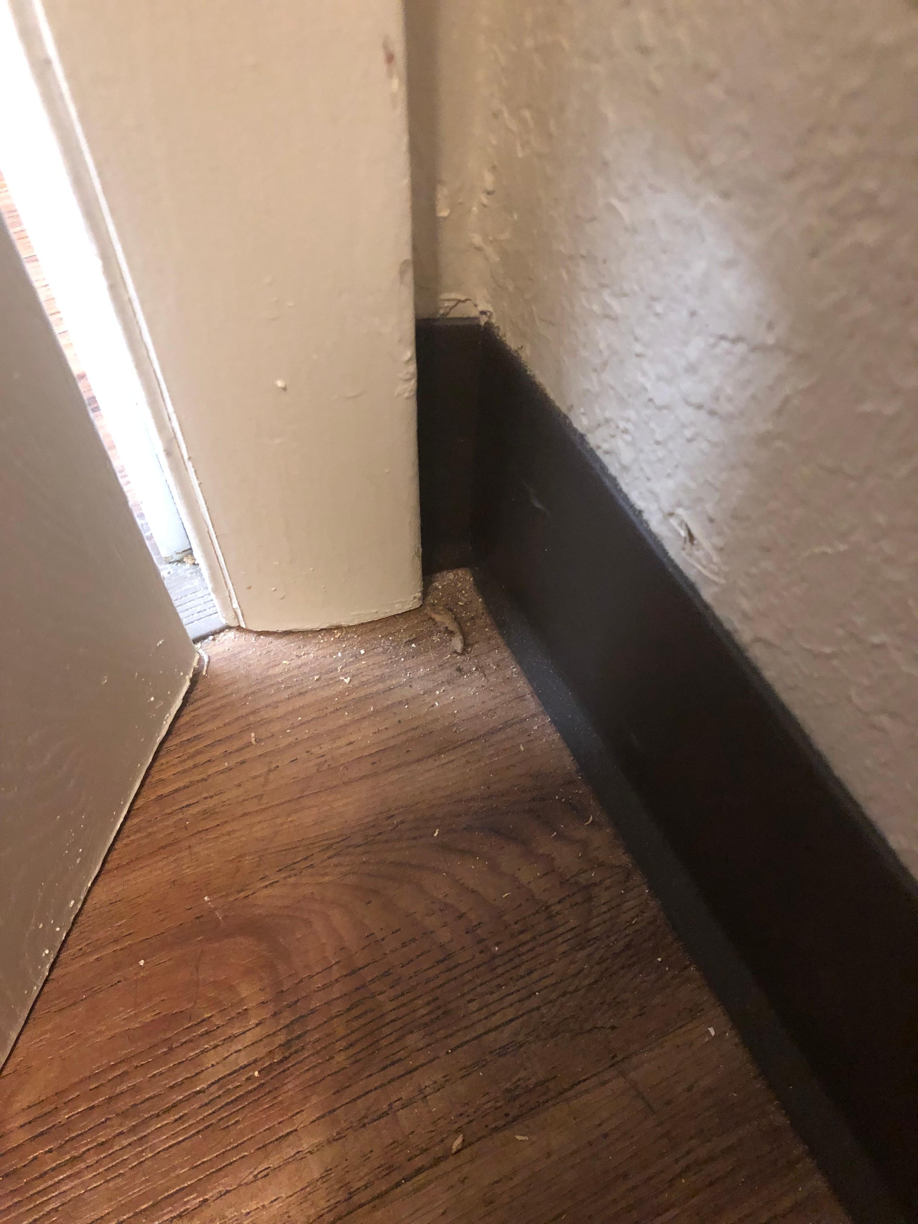 Dirt behind door 