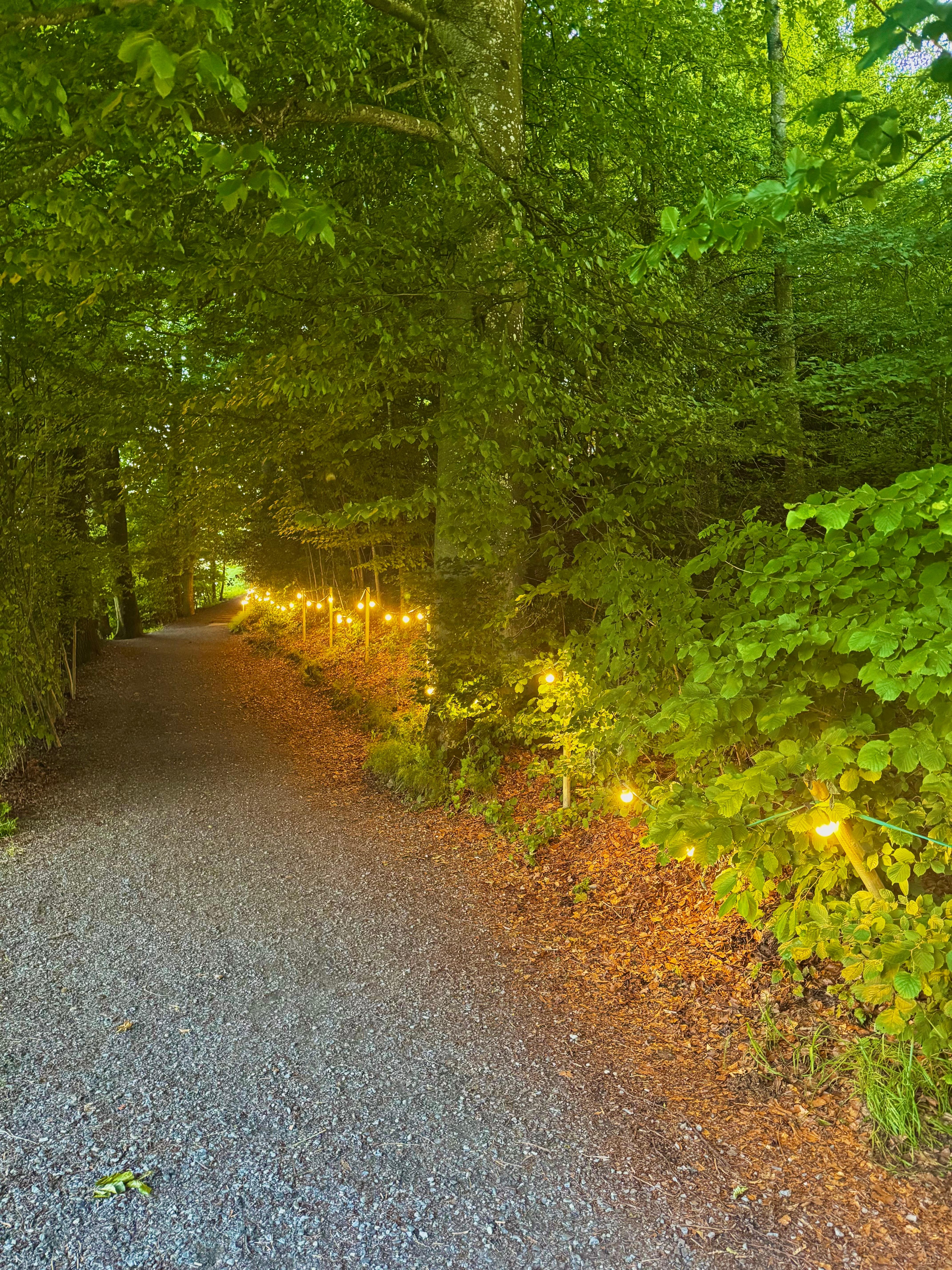 Trail to funicular