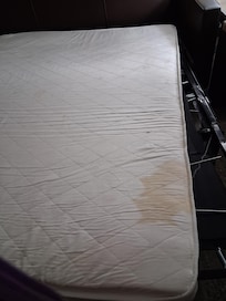 Urine stain on hideabed couch
