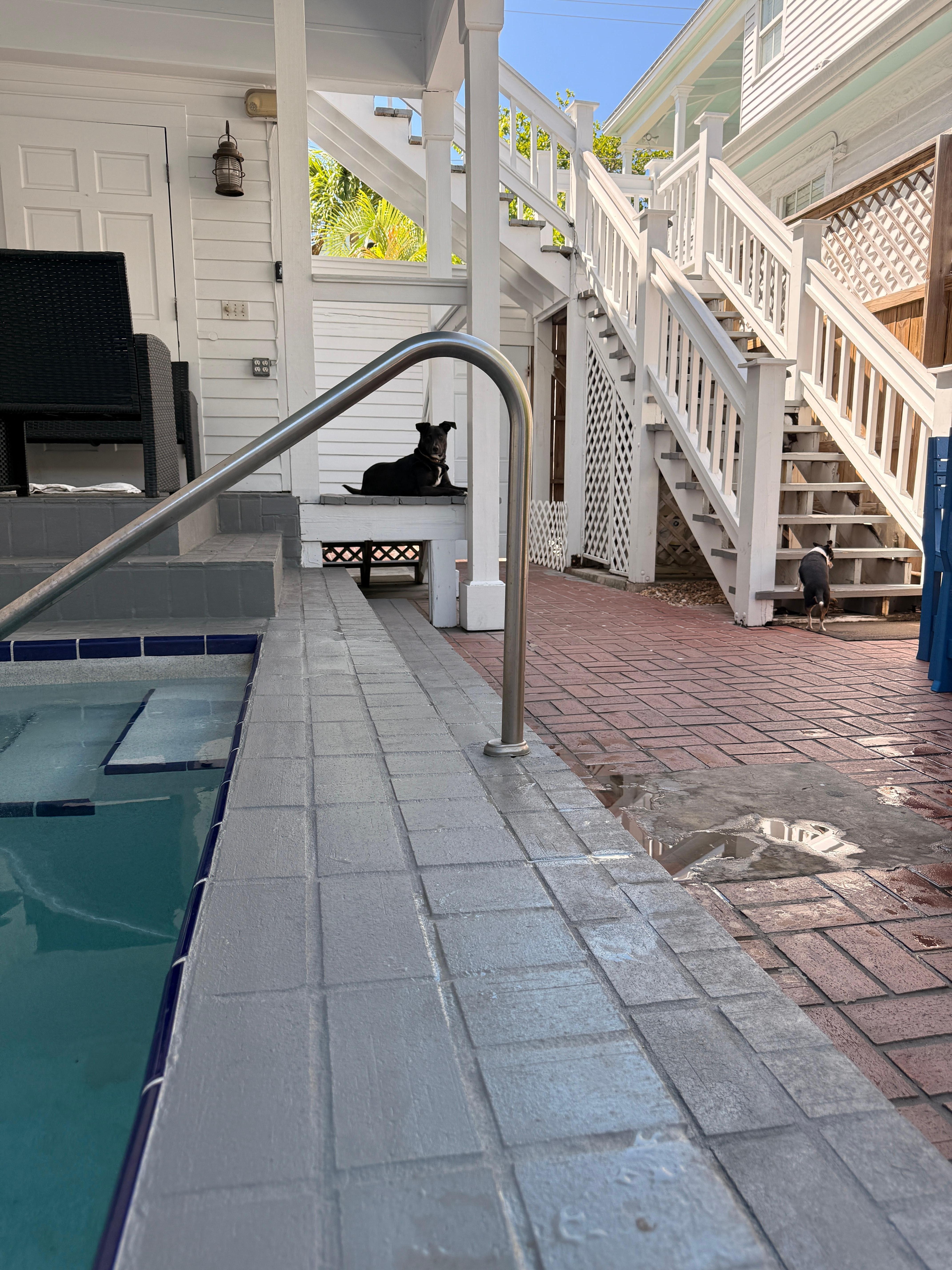 Pool area