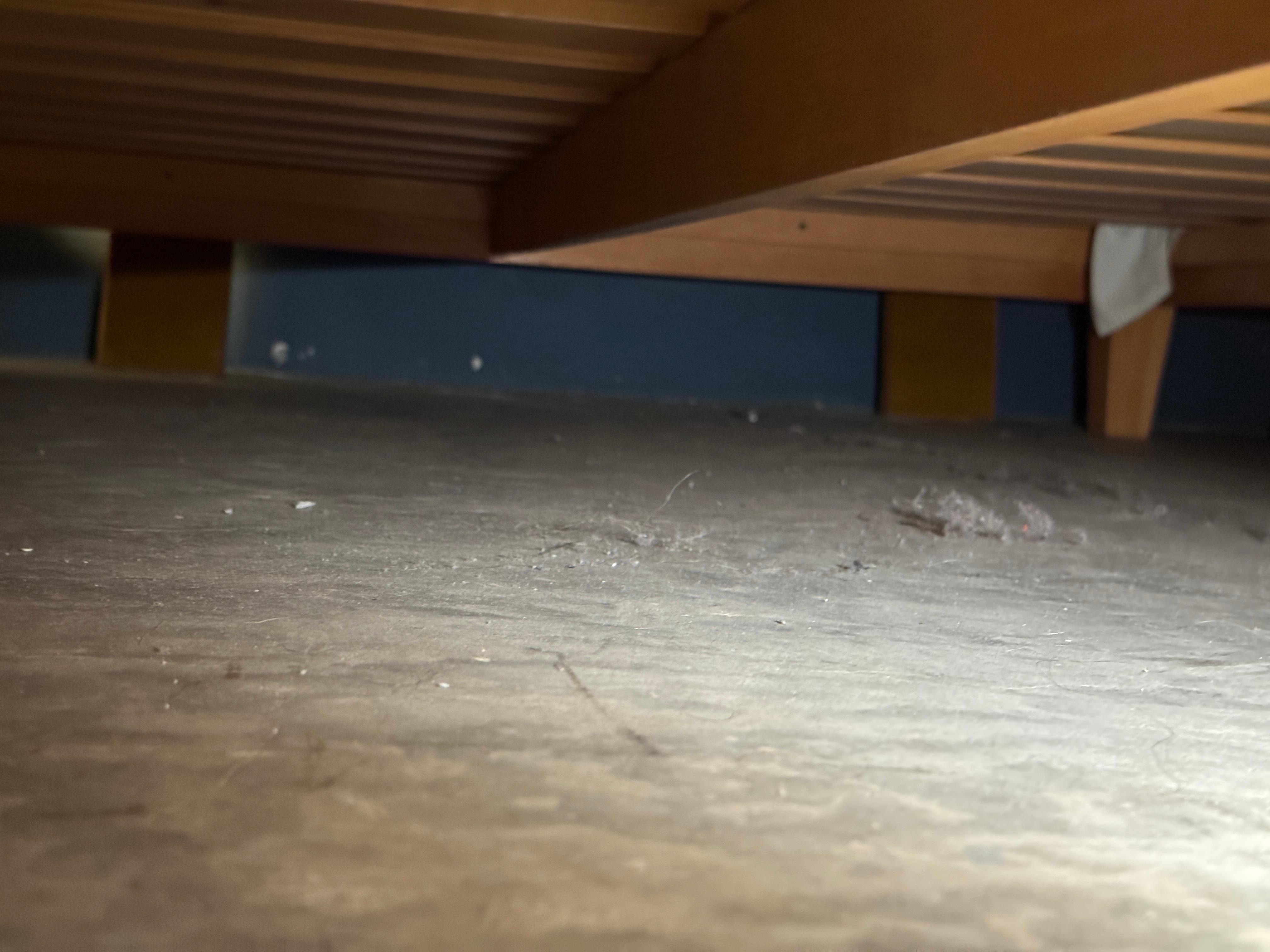 Dust and lints under bed 