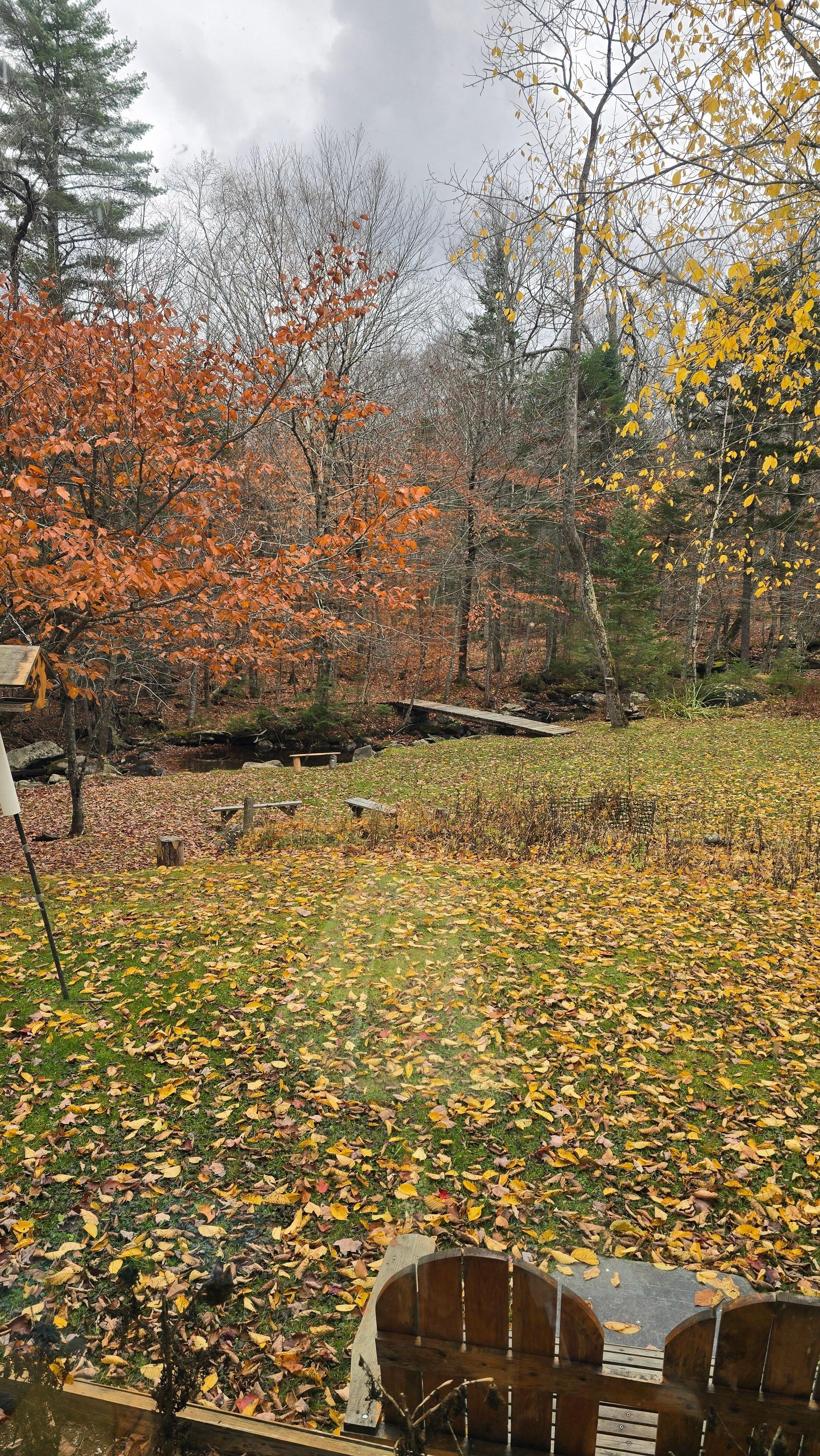 View from the living room window.