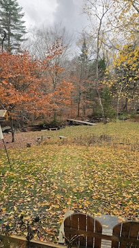 View from the living room window.