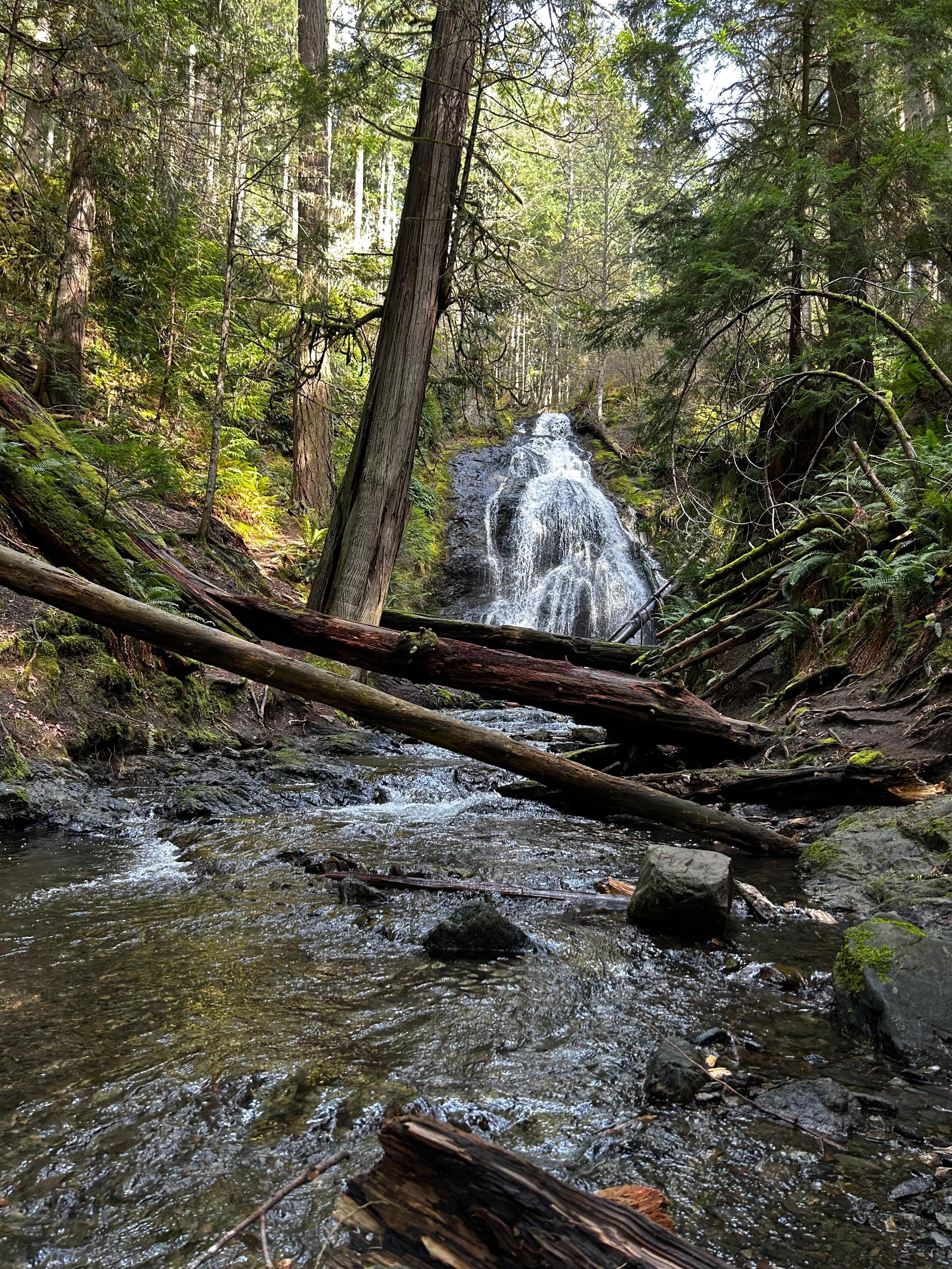 Cascade Waterfall hike - very close by.