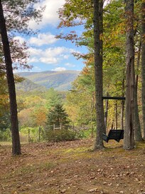 Swing view.