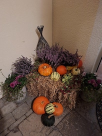 Pyntat vid ingången