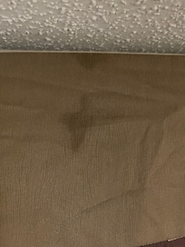 Stains
