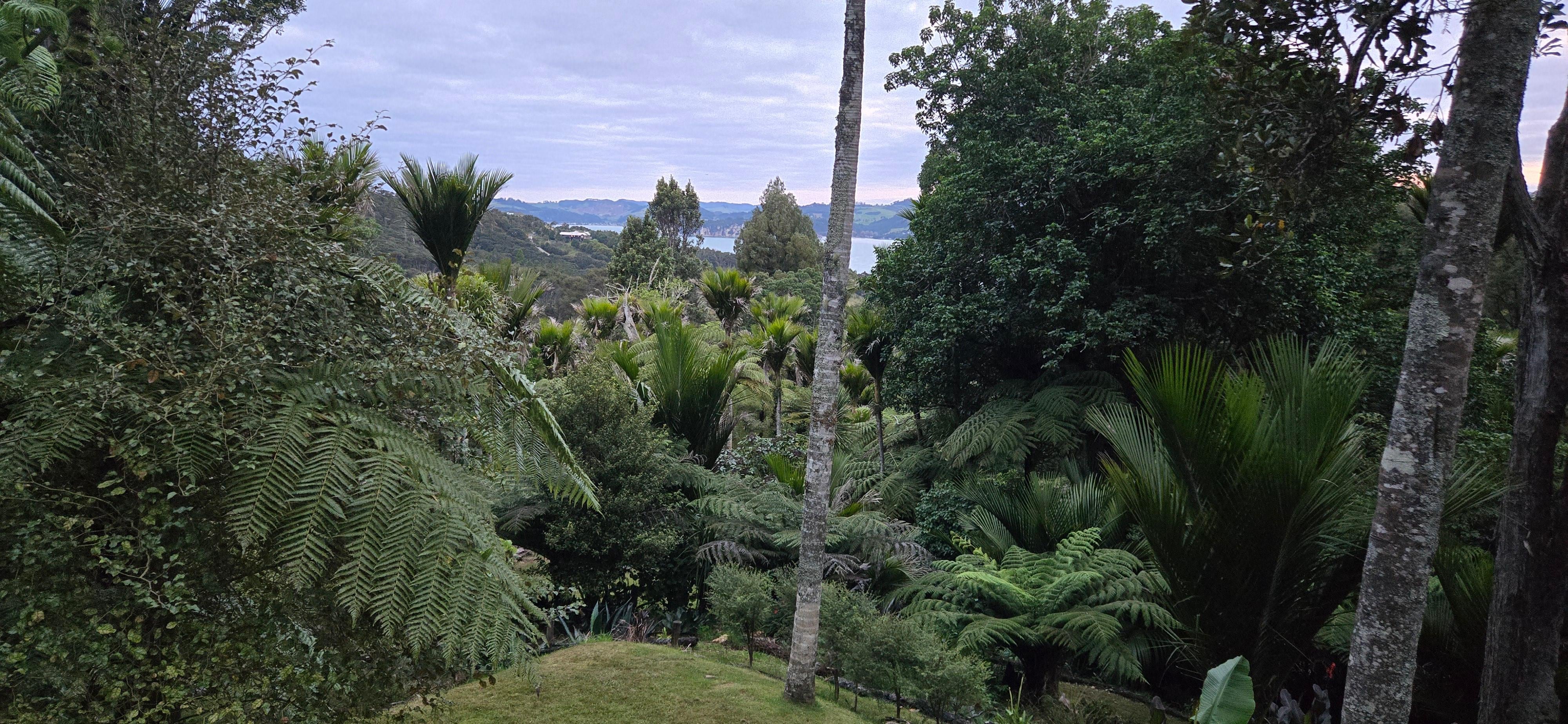 View from B&B