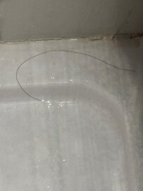 This hair was there when we got the room and was there the next day after it had been âcleanedâ