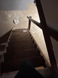 Basement staircase.