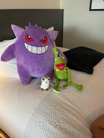 Great job from our maid