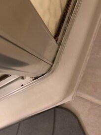 Window mold