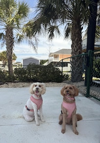 Rosie & Calla enjoyed their stay!