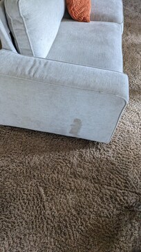 One of the dog piss pieces of furniture