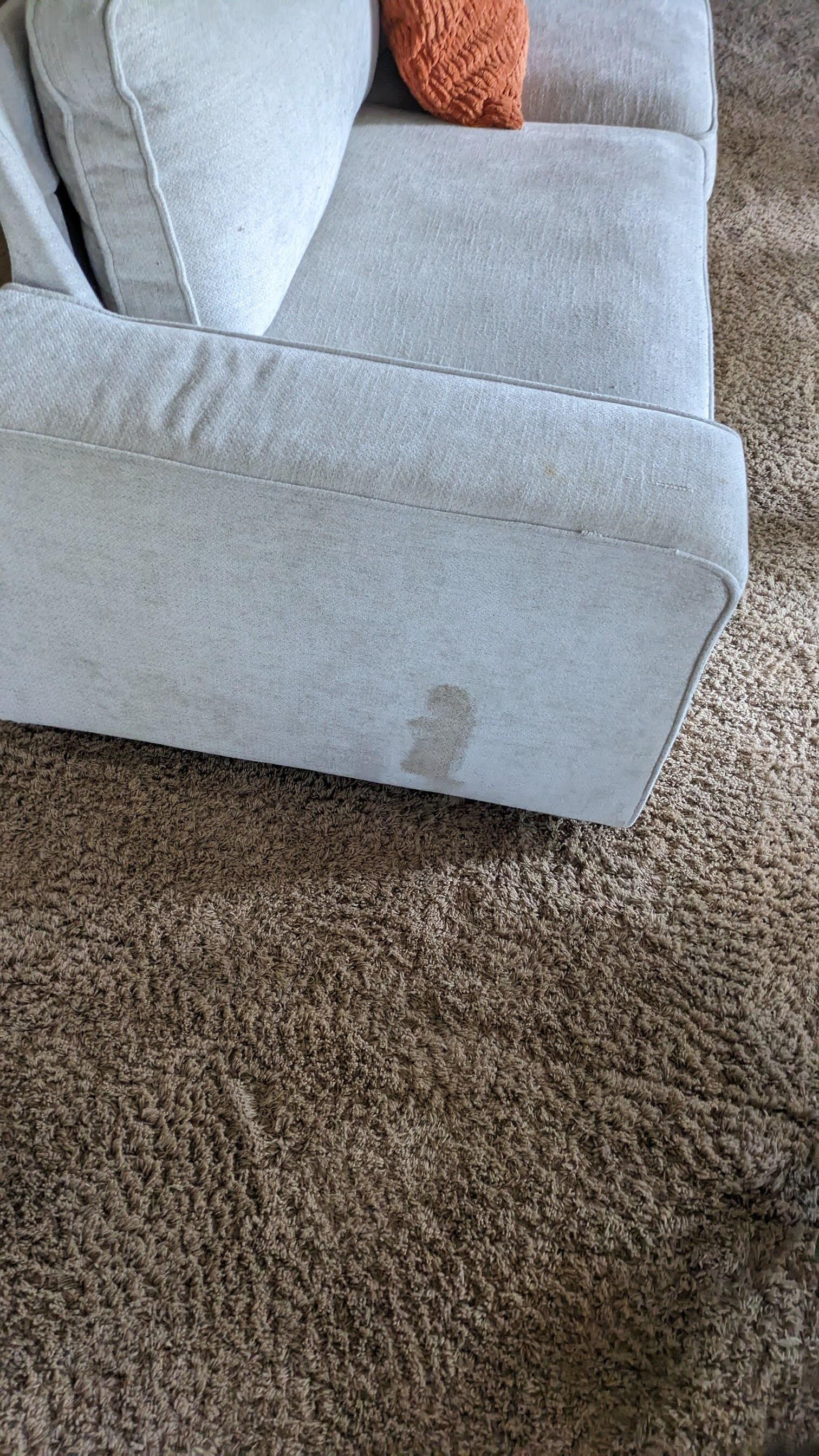 One of the dog piss pieces of furniture