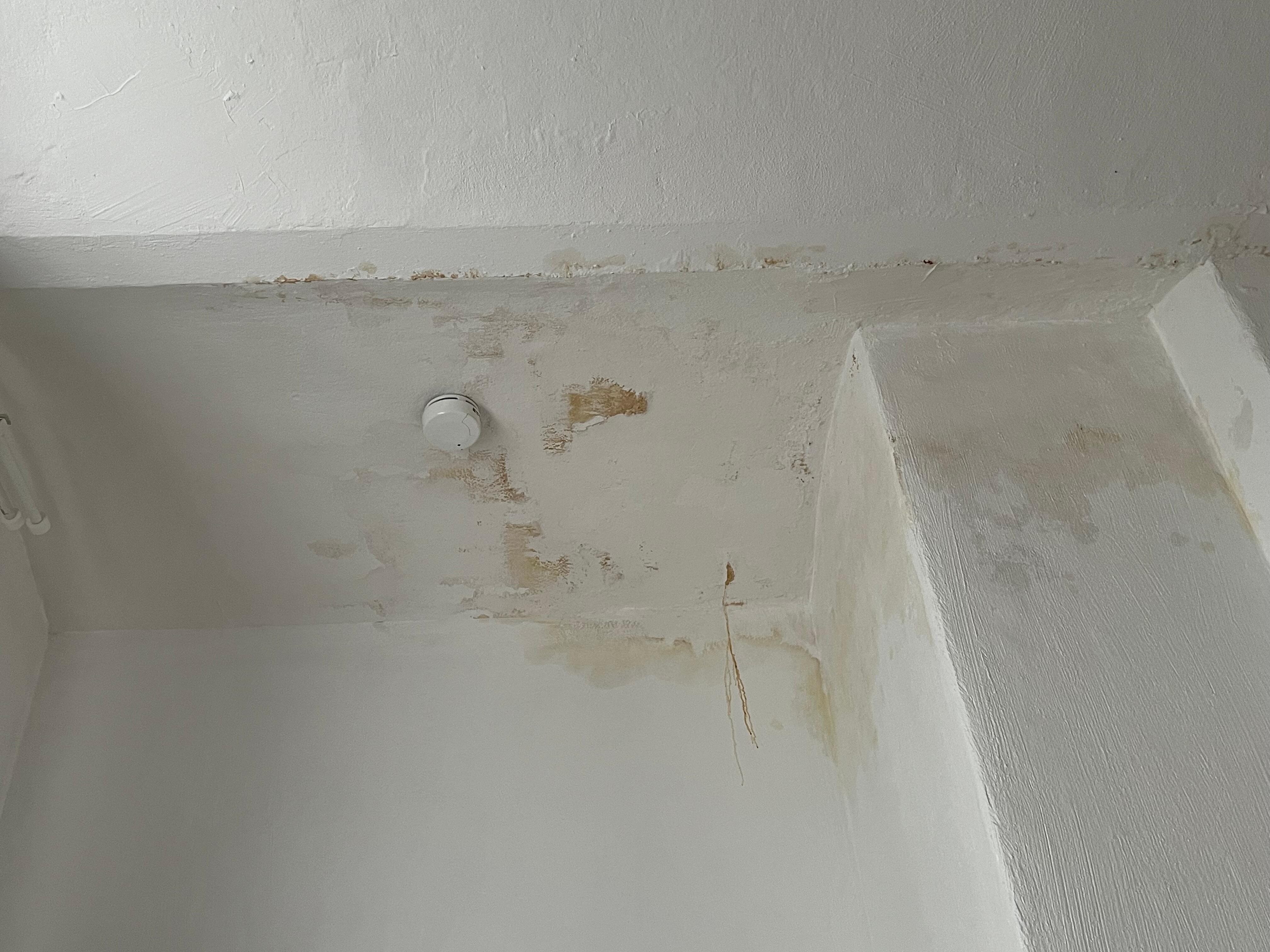 Tropfendes Wasser von oben, Wasserschaden