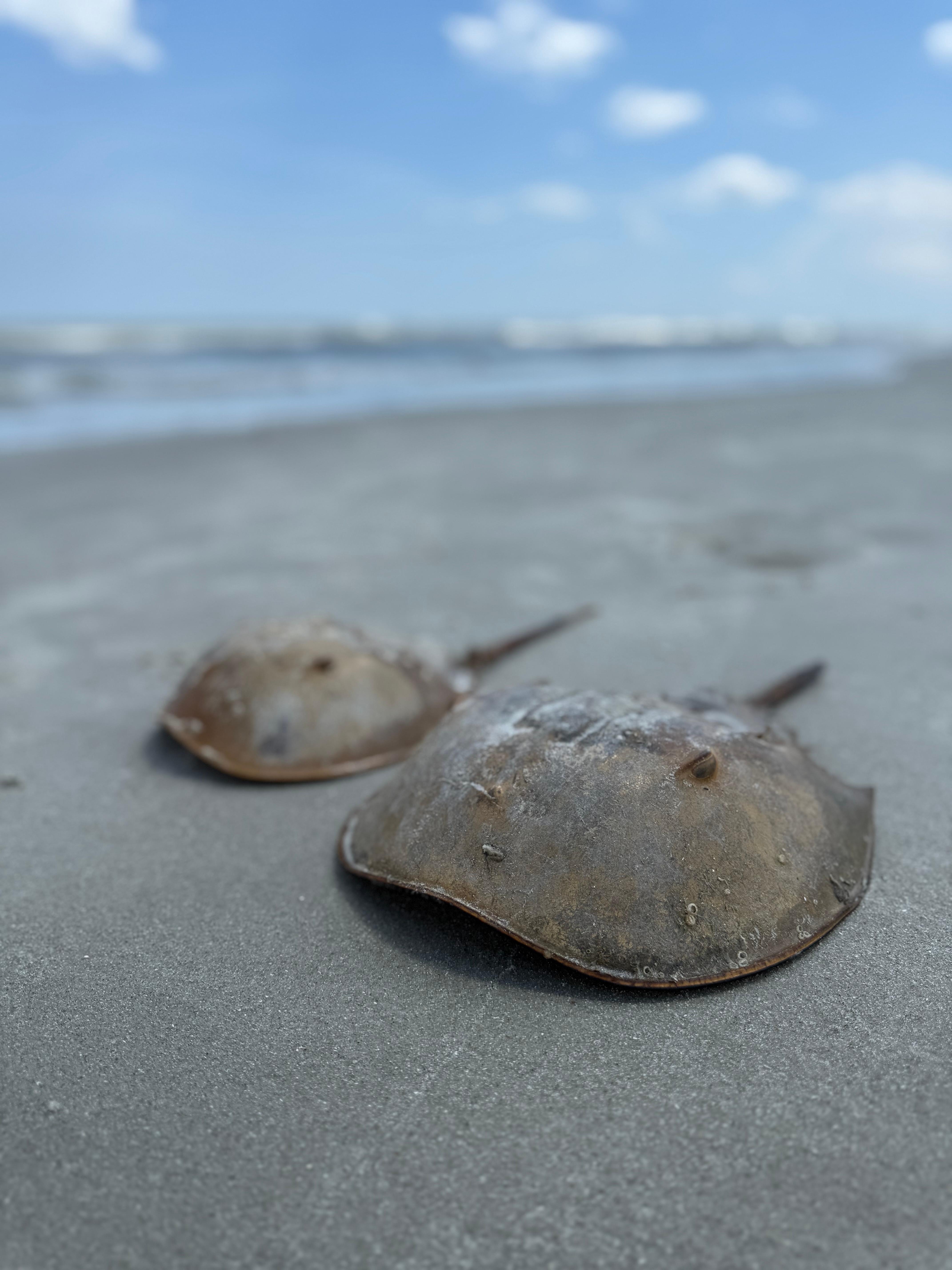 So much wildlife to discover daily