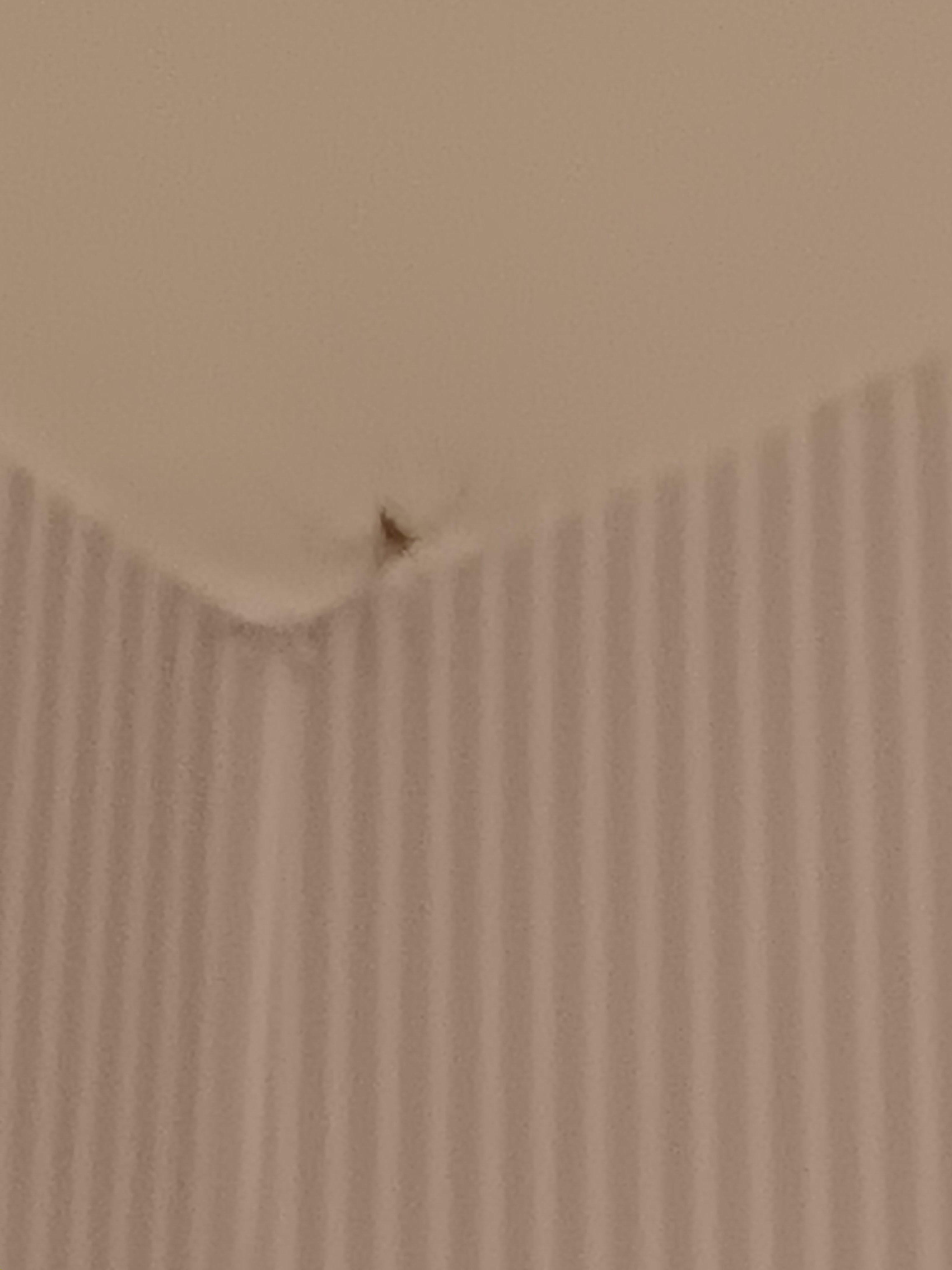 Life spider with web