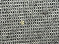 dirt on the carpet - I also took a photo of the staple I found on the carpet