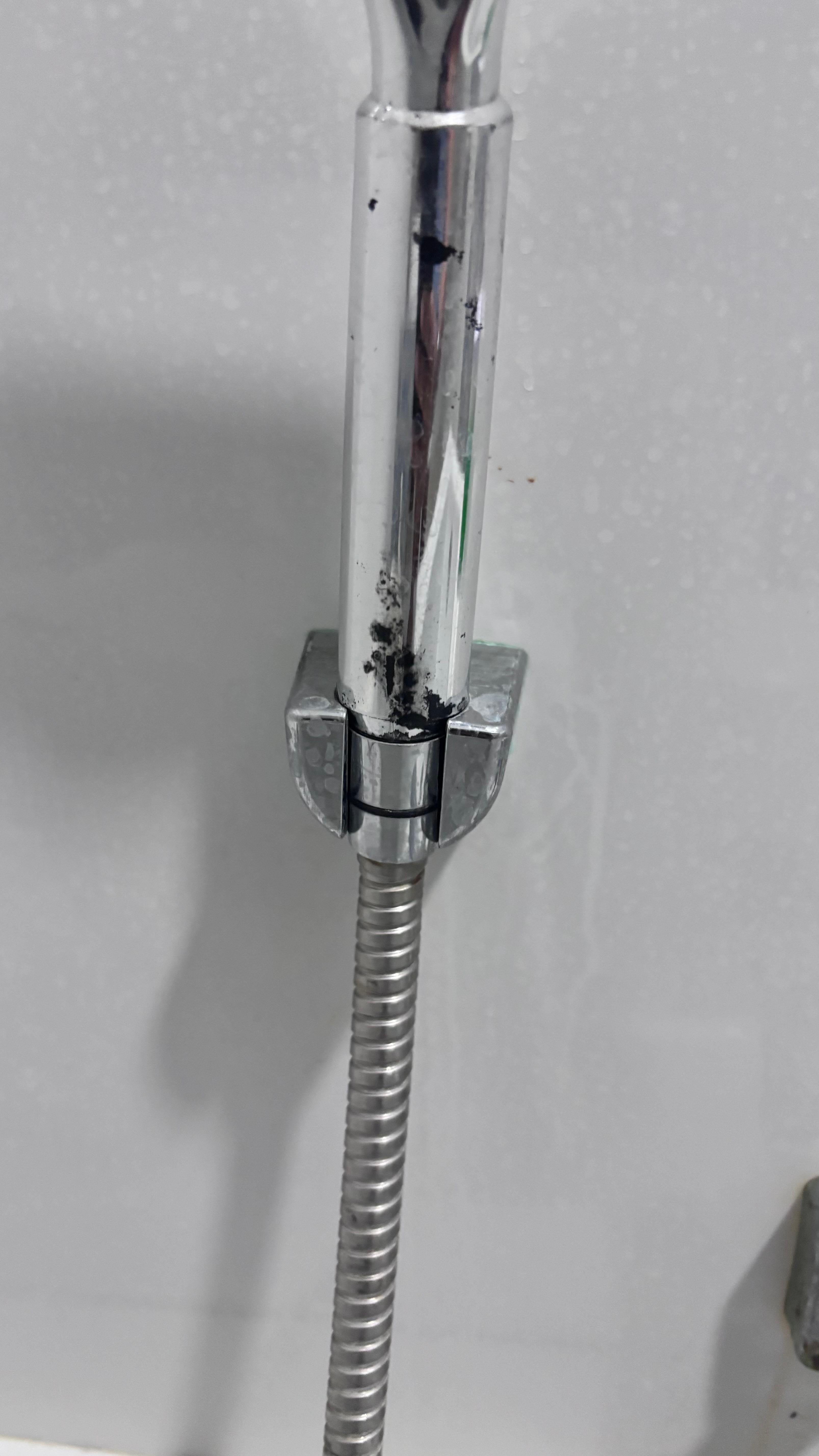 shower head  