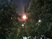 A great view of the "BuckMoon" from the patio