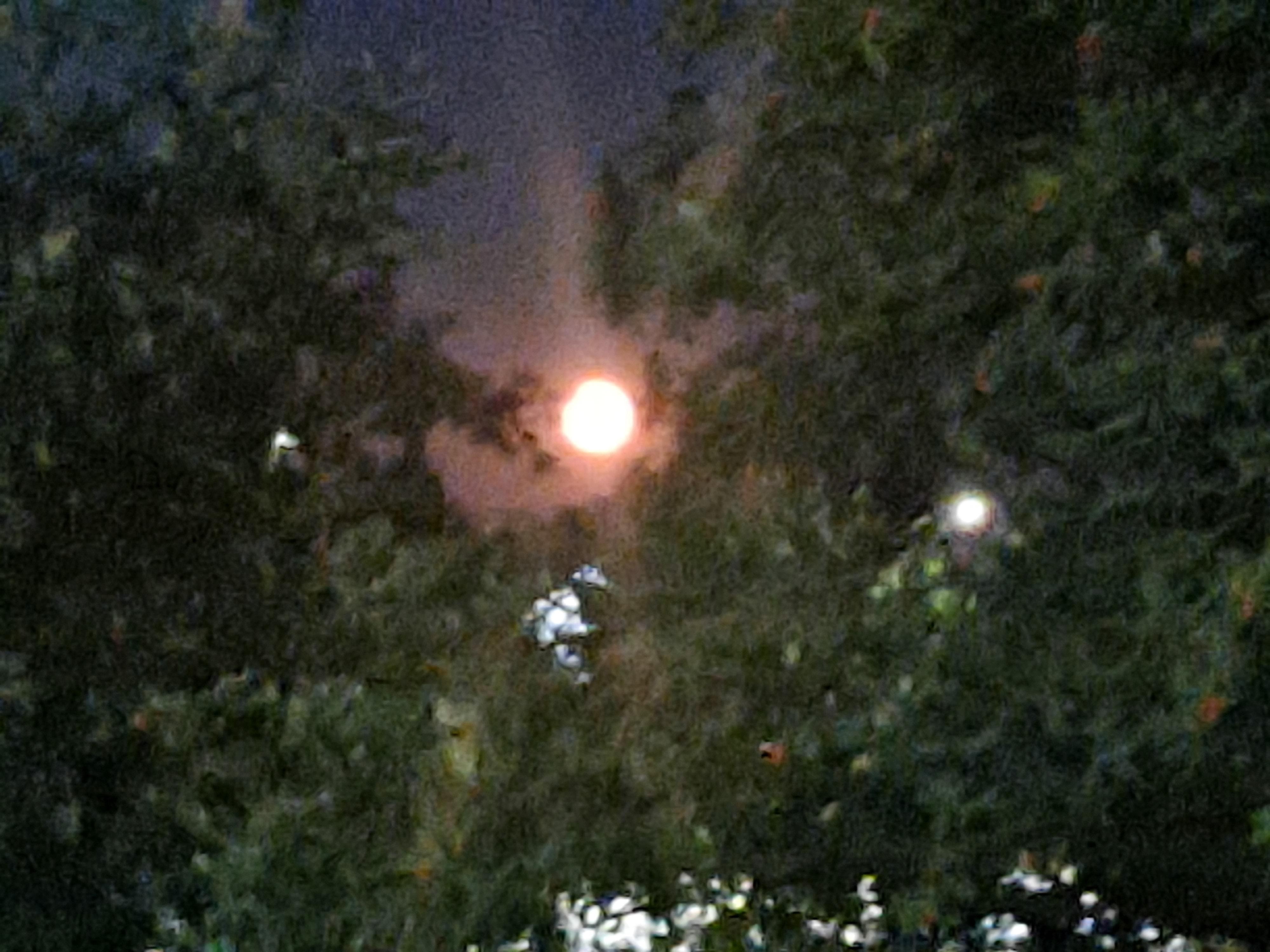 A great view of the "BuckMoon" from the patio